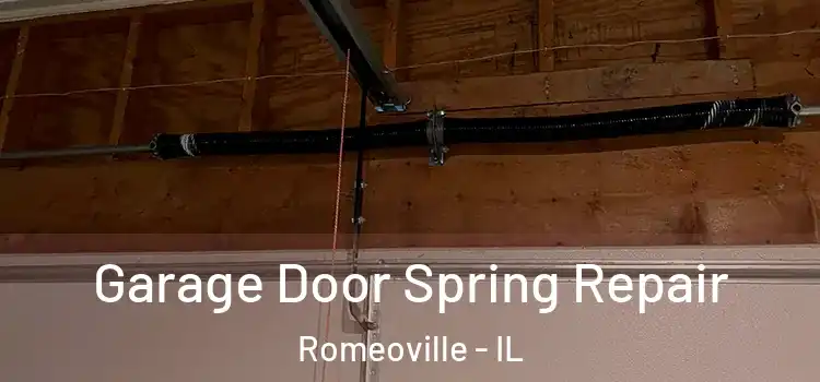  Garage Door Spring Repair Romeoville - IL