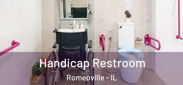 Handicap Restroom Romeoville - IL
